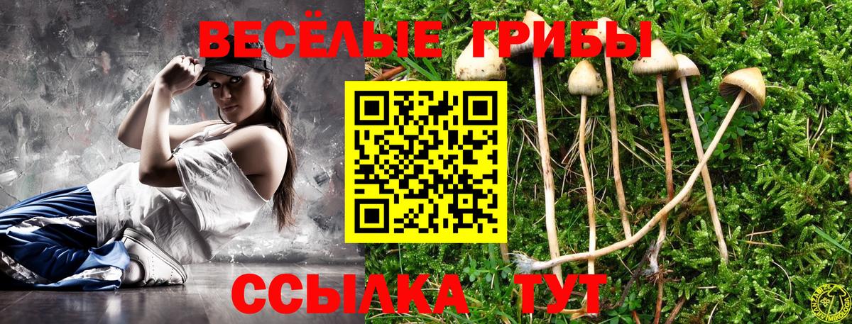 Моздок  Псилоцибиновые грибы MAGIC MUSHROOMS  Вход с VPN 